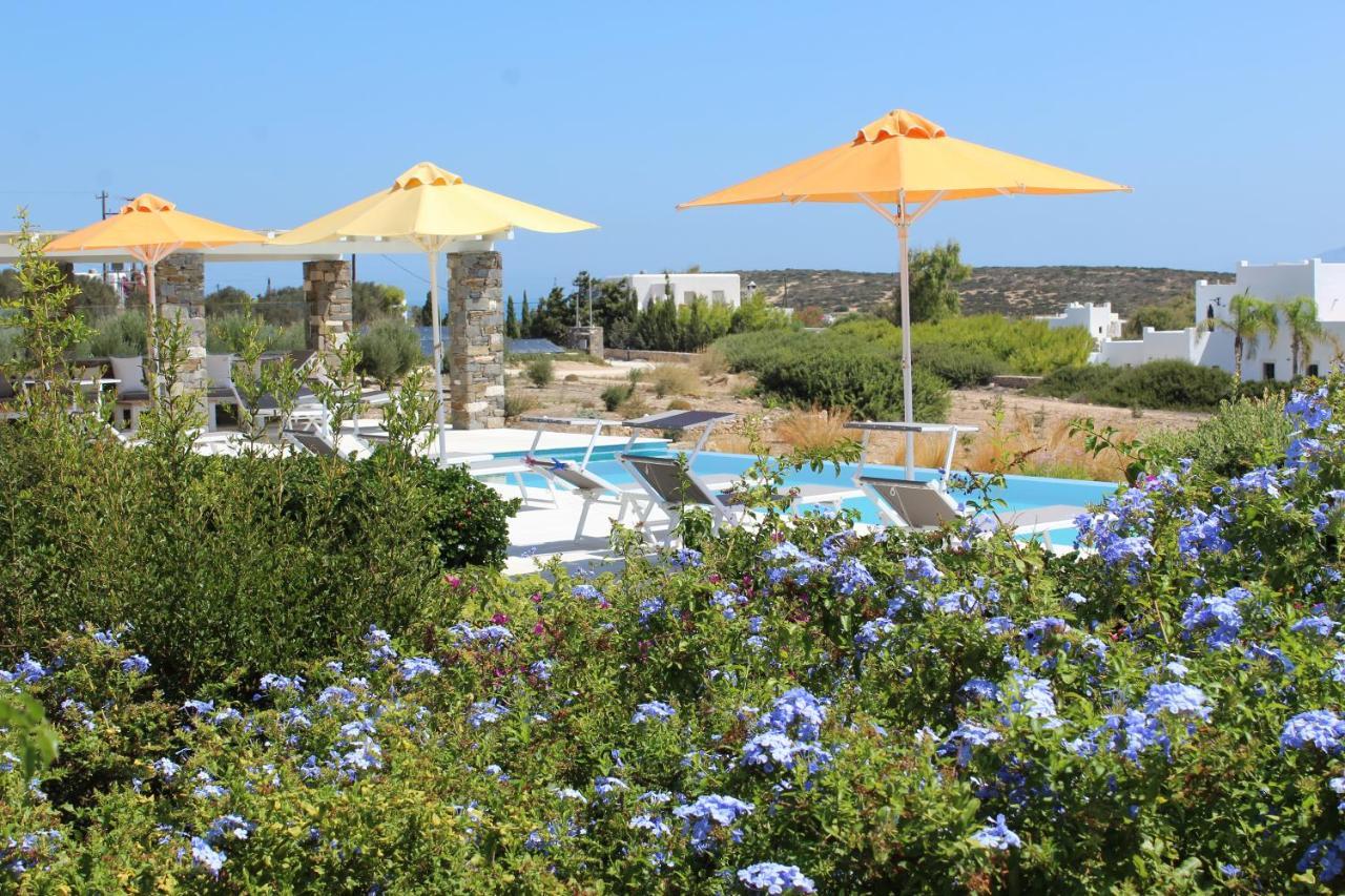 Blue Amaryllis Villas Santa Maria  Extérieur photo