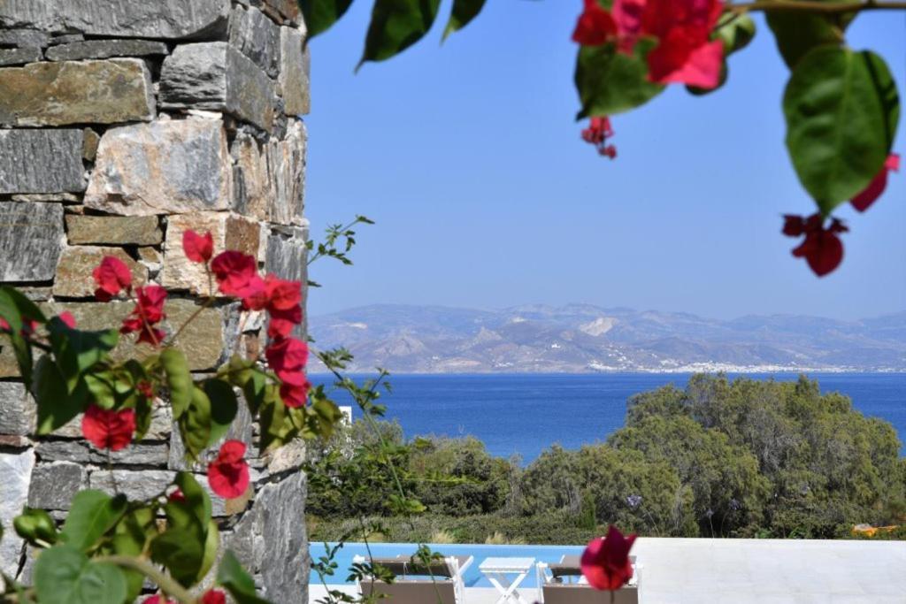 Blue Amaryllis Villas Santa Maria  Extérieur photo